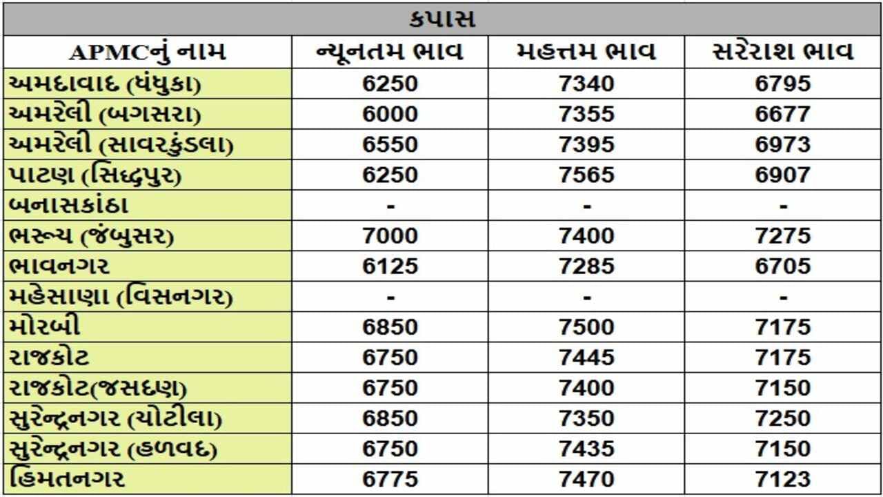 કપાસના તા.25-01-2025ના રોજ APMCના ભાવ રૂ.6000 થી 7565 રહ્યા.