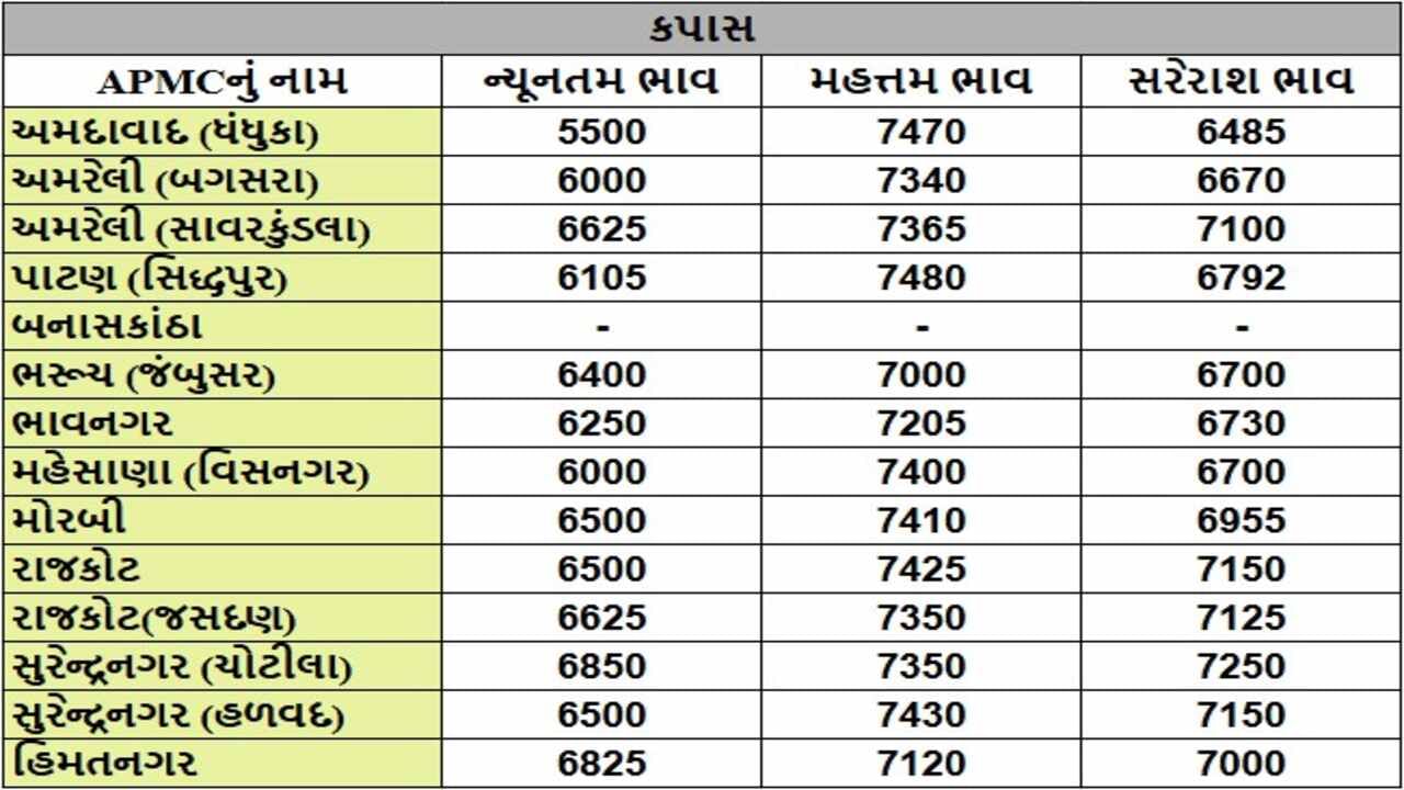 કપાસના તા.28-01-2025ના રોજ APMCના ભાવ રૂ.5500 થી 7480 રહ્યા.