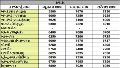 કપાસના તા.29-01-2025ના રોજ APMCના ભાવ રૂ.5500 થી 7520 રહ્યા.