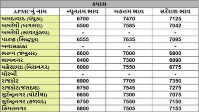 કપાસના તા.07-01-2025ના રોજ APMCના ભાવ રૂ.6000 થી 7705 રહ્યા.