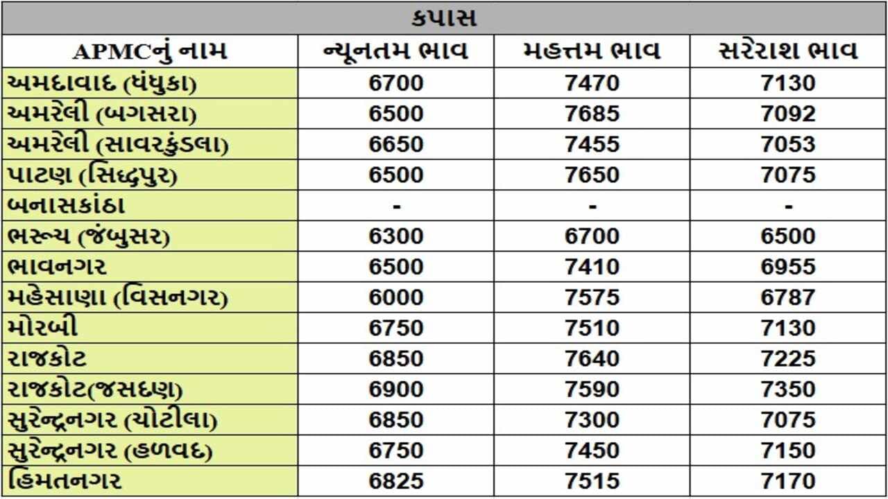 કપાસના તા.08-01-2025ના રોજ APMCના ભાવ રૂ.6000 થી 7685 રહ્યા.