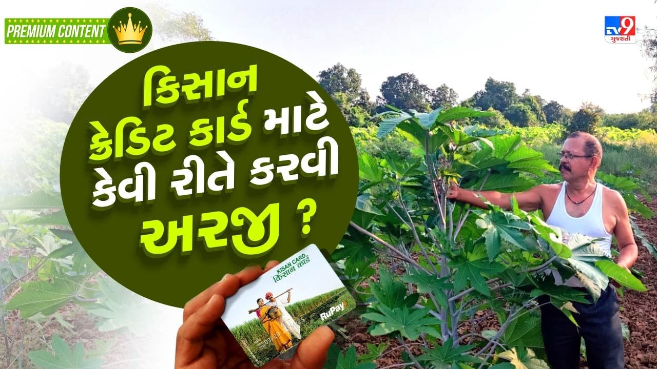 કિસાન ક્રેડિટ કાર્ડ માટે કેવી રીતે કરવી અરજી, શું છે તેના લાભ અને કેટલી મળે છે લોન ?