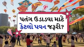 પવનની આટલી ગતિએ તમારો પતંગ આસમાનને આંબશે પવનની આટલી ગતિએ તમારો પતંગ આસમાનને આંબશે