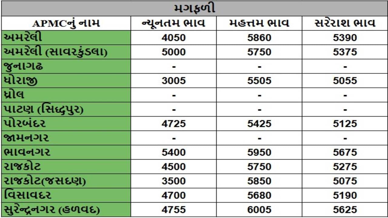 મગફળીના તા.08-01-2025ના રોજ APMCના ભાવ રૂ.3005 થી 6005 રહ્યા.