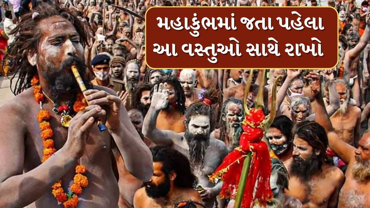 ઉત્તર પ્રદેશના પ્રયાગરાજમાં મહાકુંભની તૈયારીઓ જોરશોરથી ચાલી રહી છે. કુંભના મેળામાં સ્નાન કરવા માટે ભારતમાંથી જ નહીં વિદેશમાંથી પણ શ્રધ્ધાળુઓ આવતા હોય છે. શાહી સ્નાન માટે લાખો અને કરોડોમાં લોકો આવતા હોવાથી ત્યાં જતા પહેલા થોડું પ્લાનિંગ કરવુ જરુરી છે. 