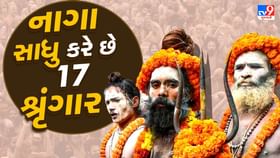 નાગા સાધુઓ કરે છે 17 શ્રૃંગાર નાગા સાધુઓ કરે છે 17 શ્રૃંગાર
