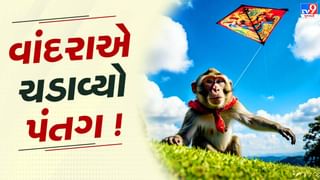 ઉતરાયણ આવતા જ પતંગ ઉડાડતા વાંદરાનો Video થયો વાયરલ, જુઓ