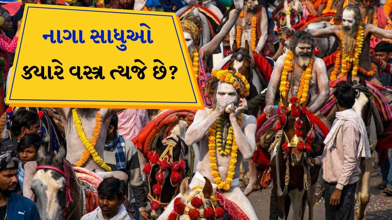 આજે પ્રયાગરાજમાં મહાકુંભનો બીજો દિવસ છે. નાગા સાધુઓ અને સંતો તલવાર-ત્રિશૂલ, હાથમાં ડમરુ, આખા શરીર પર રાખ ધારણ કરીને, ઘોડા અને રથ પર સવાર થઈને અને હર-હર મહાદેવના નારા લગાવીને સંગમ પહોંચી રહ્યા છે. નિર્વાણી અખાડાના સંતો અને મુનિઓએ સ્નાન કર્યું છે. હવે નિરંજનીના સંતો સંગમ પહોંચી ગયા છે. 
