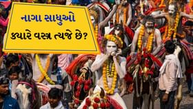 કુંભમેળો 2025 : નાગા સાધુઓ ક્યારે લંગોટ છોડી દે છે? કુંભમેળો 2025 : નાગા સાધુઓ ક્યારે લંગોટ છોડી દે છે?