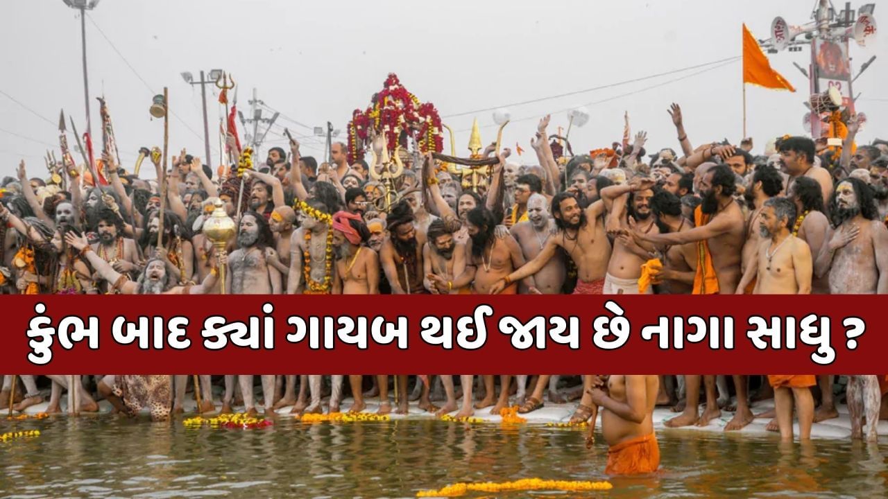 કુંભ મેળા બાદ ક્યાં ગાયબ થઈ જાય છે નાગા સાધુઓ ? જાણો કેવી હોય છે નાગા સન્યાસીઓની રહસ્યમયી દુનિયા