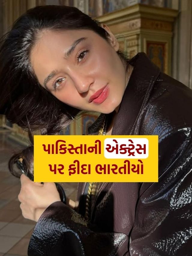 Pakistani Actress : હાનિયા નહીં પાકિસ્તાનની આ એક્ટ્રેસની માસૂમિયત પર ફીદા છે ભારતીયો