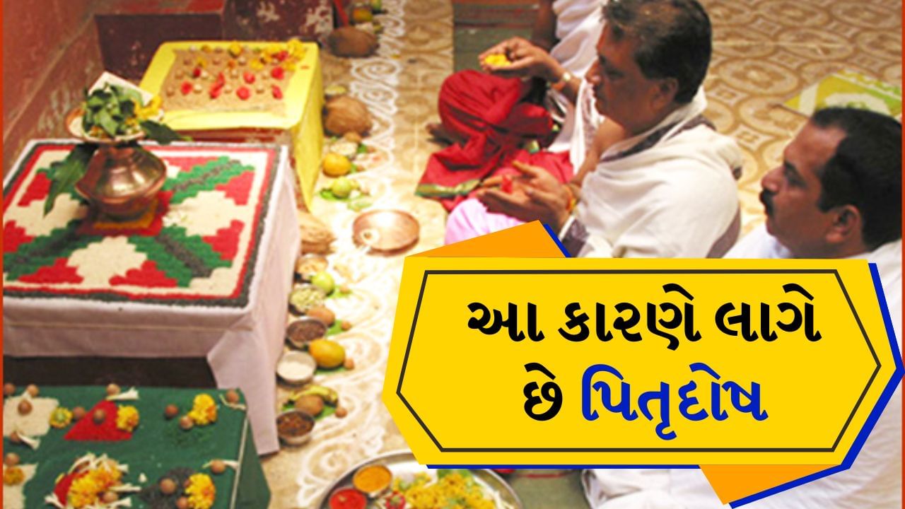 Pitru Dosh : જો કોઈ વ્યક્તિ પિતૃ દોષથી પીડિત હોય તો તેને ઘણી મુશ્કેલીઓ અને રોગોનો સામનો કરવો પડે છે. વધુમાં કારકિર્દીમાં સખત મહેનત કરવા છતાં, તેને સફળતા મળતી નથી. પૌરાણિક માન્યતા અનુસાર જેમ ભગવાનની કૃપા વિના વ્યક્તિ જીવનમાં પ્રગતિ કરી શકતો નથી તેવી જ રીતે જો કોઈ વ્યક્તિના પૂર્વજો તેના પર ગુસ્સે હોય, તો તમારા કાર્યમાં કોઈ અવરોધ આવે છે.
