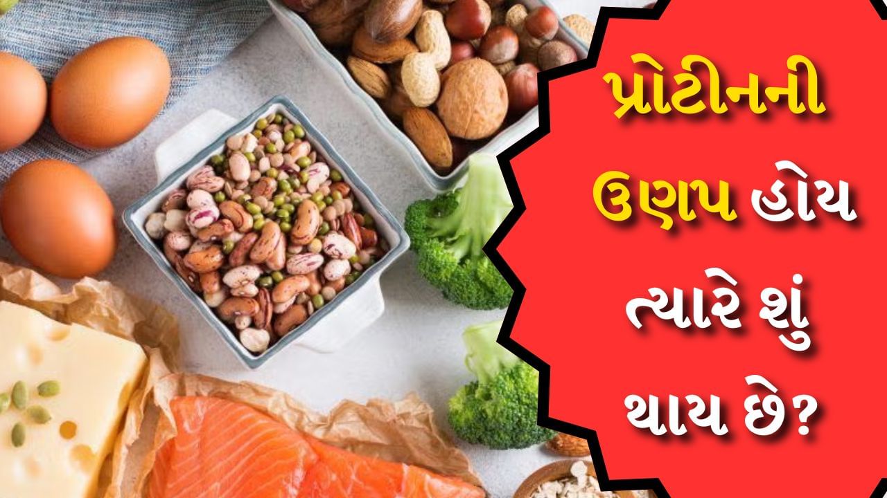 Protein Deficiency : હેલ્થલાઇનના રિપોર્ટ અનુસાર જો શરીરમાં પ્રોટીનની ઉણપ હોય તો હાડકાં નબળાં થવા લાગે છે. જો બાળકોમાં તેની ઉણપ હોય તો તેમનો વિકાસ અટકી શકે છે. ઈન્ટરનલ મેડિસિન એક્સપર્ટ ડૉ. પંકજ વર્મા કહે છે કે પ્રોટીનની ઉણપને કારણે શરીરમાં ઘણા લક્ષણો જોવા મળે છે. પરંતુ ઘણી વખત લોકો તેમની અવગણના કરવા લાગે છે. ચાલો જાણીએ કે શરીરમાં પ્રોટીનની ઉણપ હોય ત્યારે શું થાય છે.
