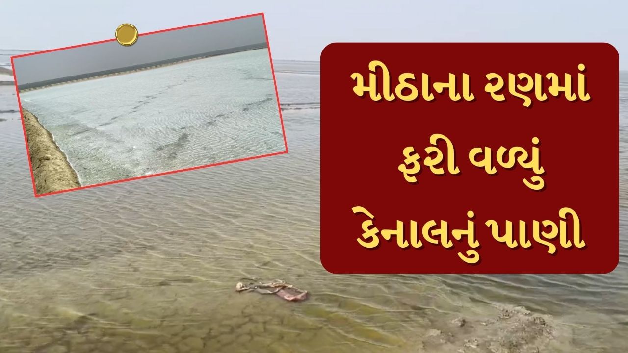 Surendranagar : મીઠાના રણમાં ફરી વળ્યુ નર્મદા કેનાલનું પાણી, 2 કરોડથી વધુનું નુકસાન થતા અગરિયાઓ આકરા પાણીએ, જુઓ Video