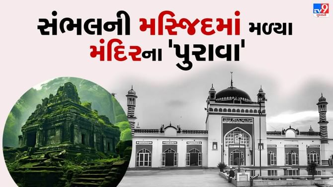 ફૂલના નિશાન, કૂવો અને વડના વૃક્ષ,સંભલની મસ્જિદમાં મળ્યા મંદિરના પુરાવા