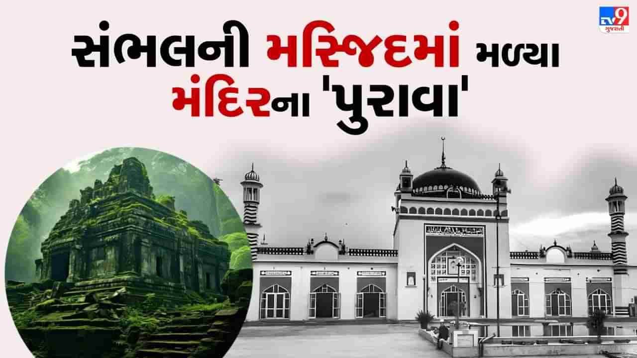 50થી વધુ ફૂલના નિશાન, કૂવો અને 2 વડના વૃક્ષ...સંભલની શાહી જામા મસ્જિદમાં મળ્યા મંદિરના પુરાવા