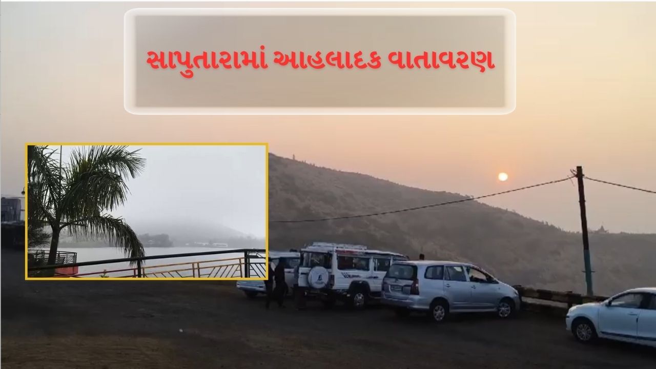 ગિરિમથક સાપુતારામાં ઠંડીથી થરથરવા લાગ્યા પ્રવાસીઓ, આહ્લાદક વાતાવરણ માણવા ઉમટ્યા સહેલાણી, જુઓ Video