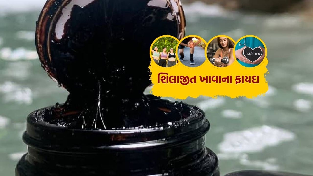 શરીરની નબળાઈ દૂર કરતું શિલાજીત પણ બજારમાં ખૂબ મોંઘા ભાવે વેચાય છે. શું તમે ક્યારેય વિચાર્યું છે કે 1 મહિના સુધી દરરોજ ખાવાથી તમારા સ્વાસ્થ્ય પર શું અસર થાય છે?