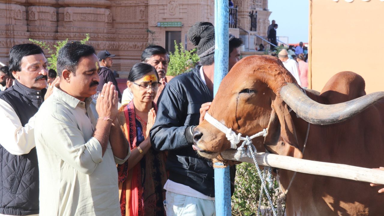 હાલ ટ્રસ્ટ પાસે 240 જેટલી ગીર ગાય છે. મકરસંક્રાંતિએ ગૌદાન તેમજ દાન કરવા માટે શ્રેષ્ઠ દિવસ માનવામાં આવે છે. આ પવિત્ર દિવસે ગૌ-દાન, ગૌ-પૂજા જેવી સેવાનો ભાવિકો લાભ લઈ શકે છે.