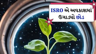 ISRO એ અવકાશમાં ઉગાડ્યો છોડ, જાણો શા માટે અવકાશમાં થઈ રહ્યા છે આવા પ્રયોગો, કેટલા થયા સફળ?