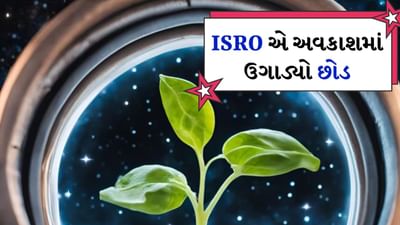 ભારતની સ્પેસ રિસર્ચ ઓર્ગેનાઈઝેશન (ISRO) ફરી એકવાર ઈતિહાસ રચવામાં સફળ થઈ છે. આ વખતે તે અવકાશમાં છોડ ઉગાડવા વિશે છે. ISROએ તેના PSLV C-60 ના POM-4 મિશન દ્વારા માઈક્રોગ્રેવિટીમાં લોબિયાના બીજ અંકુરિત કરવામાં સફળતા મેળવી છે.