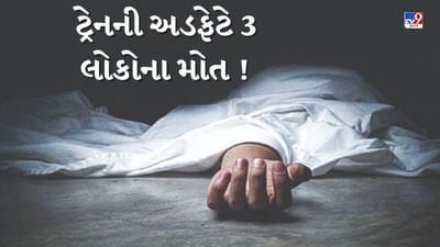 ક્ચ્છ એક્સપ્રેસ ટ્રેનની અડફેટે એક મહિલા સહિત 3 લોકોના મોત, રેલવે પોલીસે હાથ ધરી તપાસ, જુઓ Video ક્ચ્છ એક્સપ્રેસ ટ્રેનની અડફેટે એક મહિલા સહિત 3 લોકોના મોત, રેલવે પોલીસે હાથ ધરી તપાસ, જુઓ Video