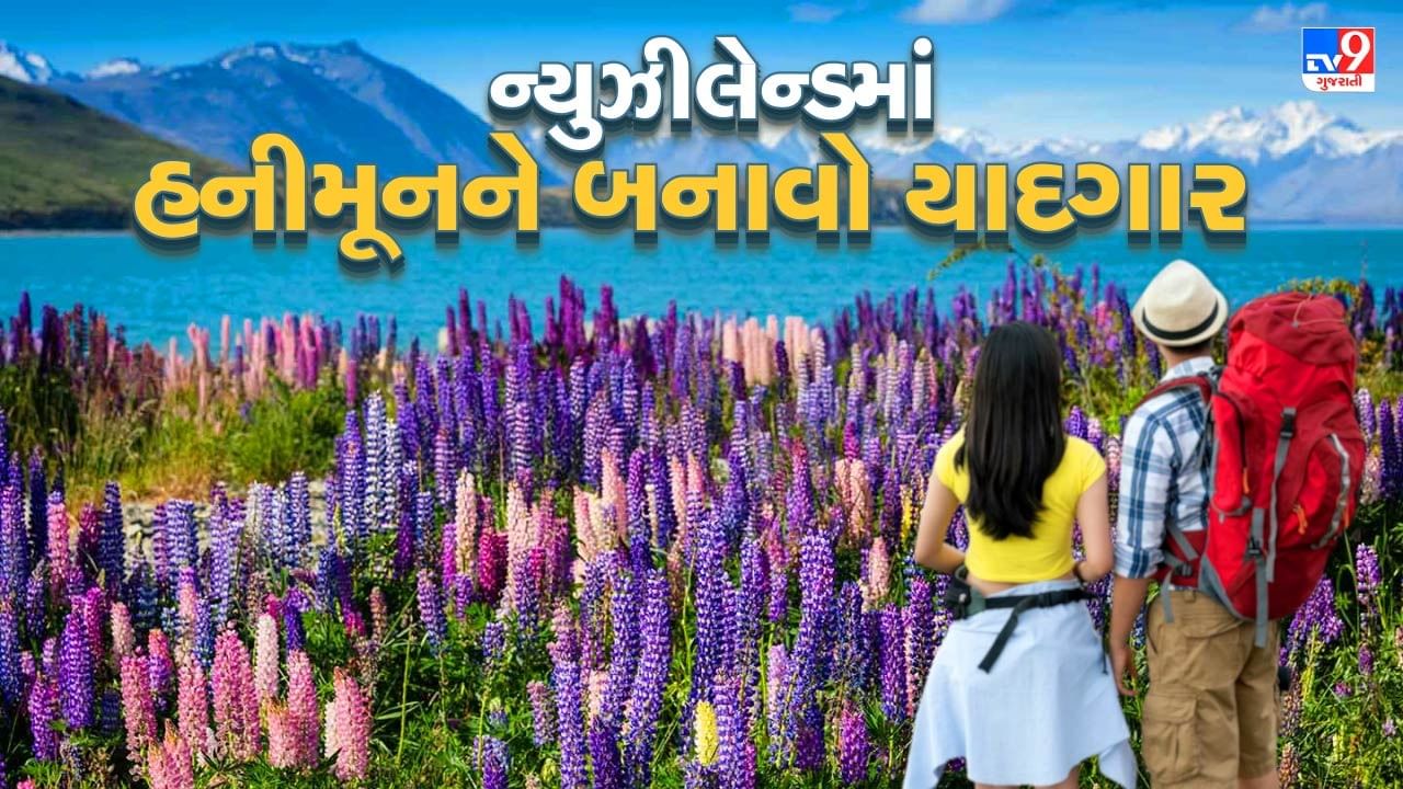 દરેક ભારતીય વ્યક્તિને ઓછામાં ઓછું એક વખત વિદેશ પ્રવાસ કરવાનો શોખ હોય છે. ત્યારે તેમના મનમાં પહેલો ખર્ચ અને ક્યાં સ્થળે ફરવા જવું તેને લઈને વિચાર આવતા હોય છે.