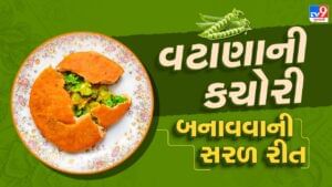 શિયાળામાં ઘરે જ બનાવો ગરમા ગરમ લીલા વટાણાની કચોરી