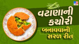 Matar Kachori Recipe: શિયાળામાં ઘરે જ બનાવો ગરમા ગરમ લીલા વટાણાની કચોરી, જુઓ તસવીરો