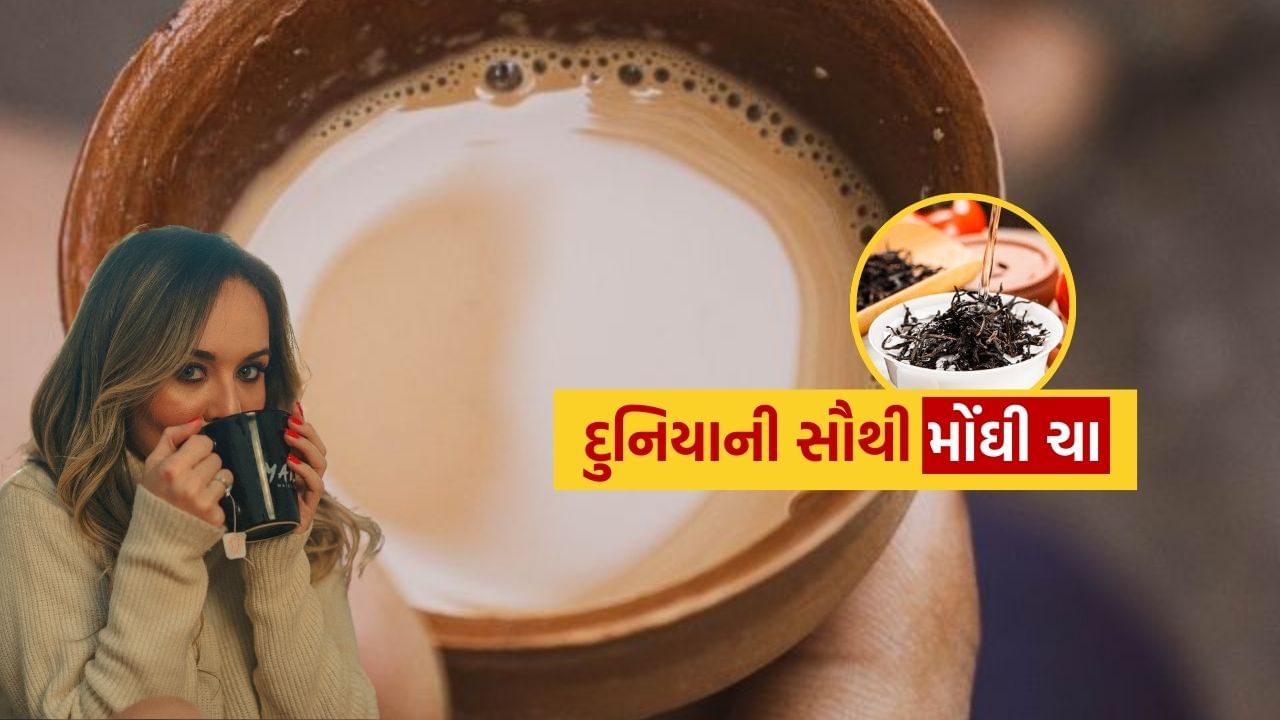 શું તમે જાણો છો કે દુનિયામાં ઘણી પ્રકારની ચા છે અને તે ઘણી રીતે તૈયાર કરવામાં આવે છે. આ સાથે, દુનિયામાં એવી ઘણી ચા છે જેની કિંમત લાખો રૂપિયા સુધીની છે. 