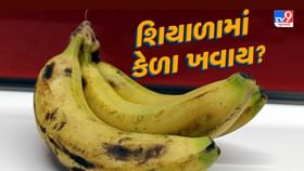શિયાળામાં કેળા ખવાય? જાણો સ્વાસ્થ્ય પર શું અસર થાય શિયાળામાં કેળા ખવાય? જાણો સ્વાસ્થ્ય પર શું અસર થાય