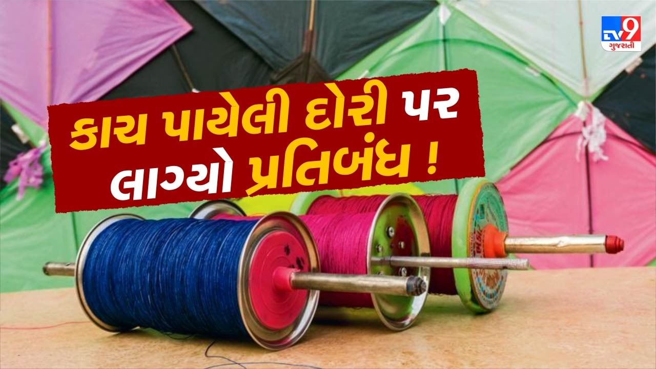 Breaking News: મકરસંક્રાતિ પહેલા ગુજરાત HCનો મોટો નિર્ણય ! કાચ પીવડાવેલી દોરી અને ચાઈનીઝ દોરી પર પ્રતિબંધ