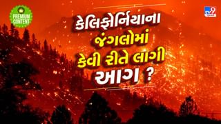 કાતિલ ઠંડી છતાં કેલિફોર્નિયાના જંગલોમાં કેવી રીતે લાગી આગ ? આ છે કારણ