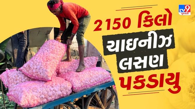 સુરત APMCમાંથી 2 હજાર 150 કિલો ચાઈનીઝ લસણ ઝડપાયુ