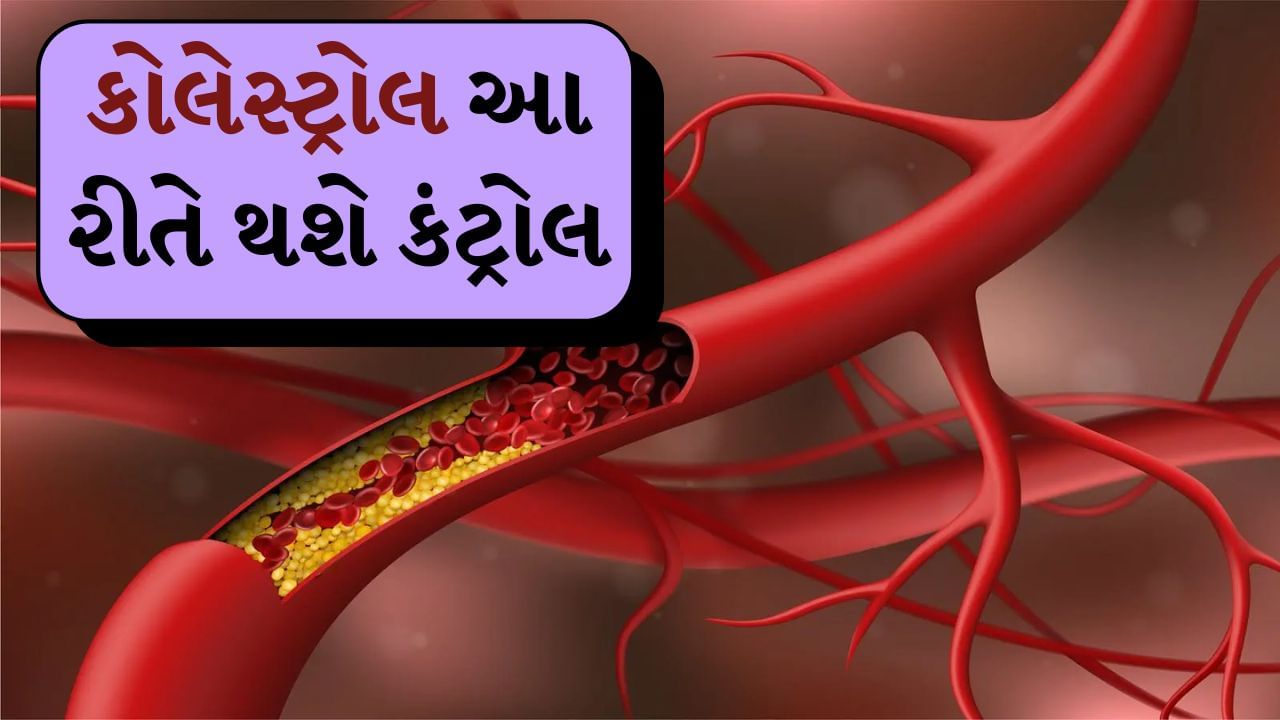 સવારનો સમય તમારા શરીરને ઉર્જા આપવા અને સ્વસ્થ આદતો અપનાવવાનો બેસ્ટ સમય છે. જો તમે તમારા દિવસની શરૂઆત યોગ્ય રીતે કરો છો તો તે માત્ર કોલેસ્ટ્રોલ ઘટાડવામાં જ મદદ કરે છે પરંતુ તમારા એકંદર સ્વાસ્થ્યને પણ સુધારે છે. ચાલો જાણીએ સવારે તે 7 વસ્તુઓ જે તમારા કોલેસ્ટ્રોલને આપોઆપ કંટ્રોલ કરશે.
