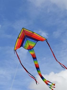 કયા દેશને પતંગોનું ઘર કહેવામાં આવે છે?