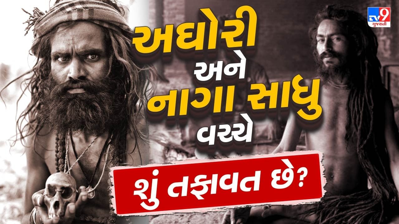 Naga Sadhu vs Aghori : પ્રયાગરાજના સંગમ શહેરમાં વિશ્વનો સૌથી મોટો ધાર્મિક મેળો મહાકુંભ શરૂ થઈ ગયો છે. આ મહાકુંભમાં ભાગ લેવા માટે દેશ અને દુનિયાના ખૂણે ખૂણેથી નાગા સાધુઓ અને અઘોરી સાધુઓ પણ પહોંચ્યા છે. ઘણીવાર નાગા અને અઘોરી સાધુઓને એક જ માનવામાં આવે છે. પરંતુ આજે અમે તમને તેમની વચ્ચેનો તફાવત જણાવીશું જેના વિશે તમે કદાચ નહીં જાણતા હોવ.
