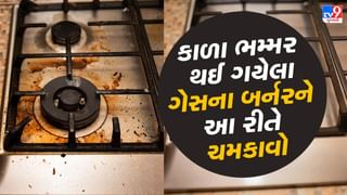 Gas Stove Cleaning Tips : ગેસ સ્ટોવ અને બર્નરને આ 2 પદ્ધતિઓથી સાફ કરો, થઈ જશે એકદમ નવા ચમક-ચમક