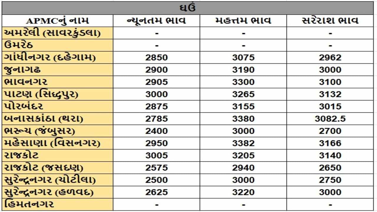 ઘઉંના તા.07-01-2025ના રોજ APMCના ભાવ રૂ.2400 થી 3382 રહ્યા.