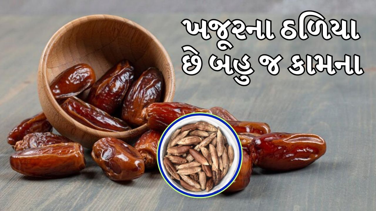 ખજૂરનું નામ સાંભળતા જ આપણા મનમાં સ્વાસ્થ્ય અને સ્વાદનો વિચાર આવે છે. "નેચરલ કેન્ડી" તરીકે પણ ઓળખાય છે, તે પોષક તત્વોથી ભરપૂર છે અને તેને ઉર્જાનો ઉત્તમ સ્ત્રોત માનવામાં આવે છે. શિયાળામાં શરીરને હૂંફ આપવાની હોય કે મીઠી વાનગી બનાવવાની હોય, ખજૂર દરેક જગ્યાએ ફિટ બેસે છે. પણ શું તમે જાણો છો કે ખજૂર જેટલી ફાયદાકારક છે, તેના બીજ પણ એટલા જ ઉપયોગી થઈ શકે છે? આપણામાંથી મોટાભાગના લોકો ખજૂર ખાધા પછી તેના બીજ ફેંકી દે છે.
