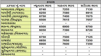કપાસના તા.15-01-2025ના રોજ APMCના ભાવ રૂ.6050 થી 7650 રહ્યા.