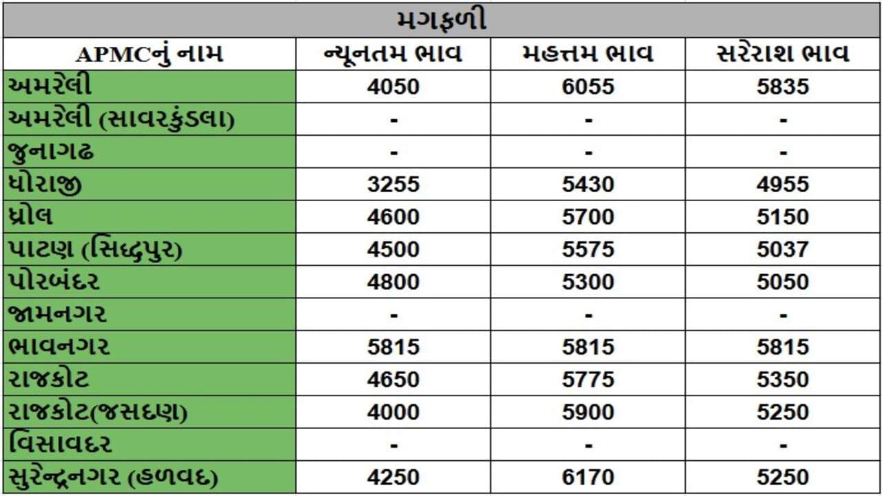 મગફળીના તા.17-01-2025ના રોજ APMCના ભાવ રૂ.3255 થી 6170 રહ્યા.