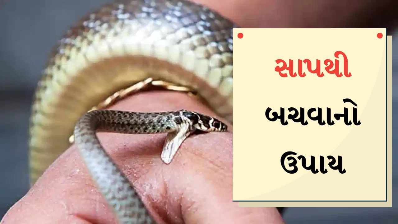 ભારતમાં સાપ વિશે ઘણી ગેરમાન્યતાઓ છે અને આ ગેરમાન્યતાને કારણે ઘણીવાર સાપને મારી નાખવામાં આવે છે. તેથી ભારતમાં સાપની ઘણી દુર્લભ પ્રજાતિઓ હાલમાં લુપ્ત થવાના આરે છે.
