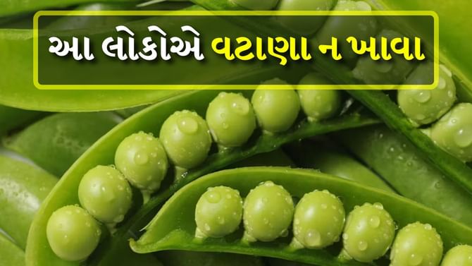 Peas : ક્યા લોકોએ ઓછા વટાણા ખાવા