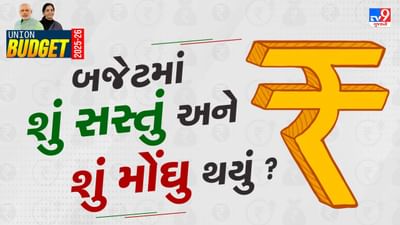 Budget 2025 : TV, મોબાઈલ, અને ઈલેક્ટ્રીક કાર થઈ સસ્તી ! જાણો બજેટમાં શું સસ્તું અને શું મોંઘું ?