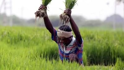 પ્રધાનમંત્રી ધન-ધાન્ય કૃષિ યોજના - 100 કૃષિ જિલ્લાઓના વિકાસ માટે વિશેષ યોજના