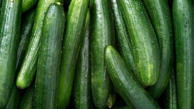 ઉનાળામાં કાકડી આપણા આહારનો મહત્વનો ભાગ બની જાય છે. તે માત્ર હાઇડ્રેટિંગ અને તાજગી આપતું નથી, પરંતુ પોષણથી પણ ભરપૂર છે. વજન ઘટાડવાથી લઈને પાચનક્રિયા સુધારવા અને ત્વચાને સ્વસ્થ રાખવા સુધી કાકડીના અગણિત ફાયદા છે. પરંતુ શું તમે જાણો છો કે કાકડી ખાવાનો યોગ્ય સમય પણ એટલો જ મહત્વપૂર્ણ છે. ઘણીવાર લોકો દિવસના કોઈપણ સમયે કાકડી ખાય છે, પરંતુ શું તેને રાત્રે કે બપોરે ખાવું યોગ્ય છે?