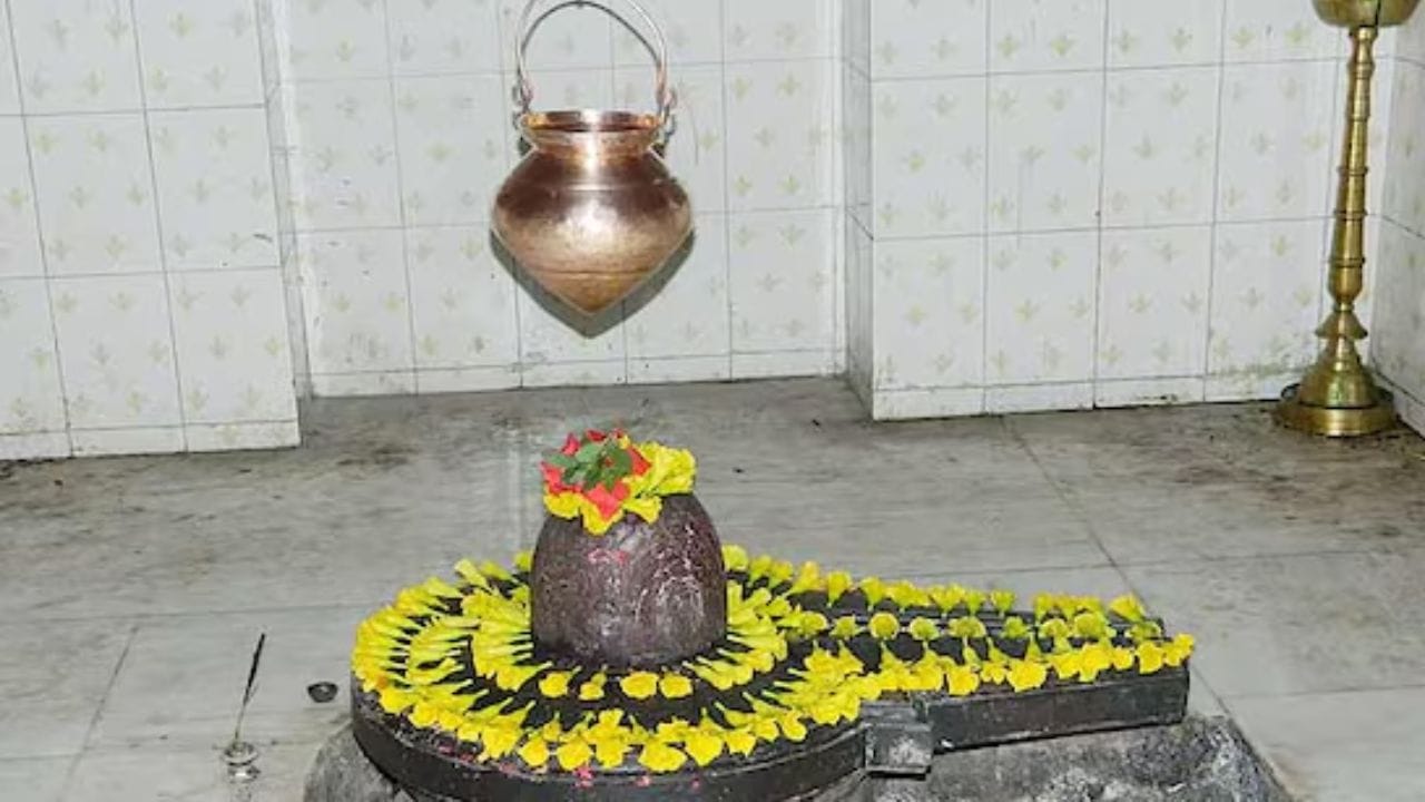 ગુજરાતની રાજધાની ગાંધીનગરમાં કૈલાશનાથ મંદિર મુલાકાત લેવા માટેનું એક શાંતિપૂર્ણ સ્થળ છે. તે કોઈ જ્યોતિર્લિંગ મંદિર નથી. પરંતુ તે આ પ્રદેશમાં નોંધપાત્ર ધાર્મિક મહત્વ ધરાવે છે.