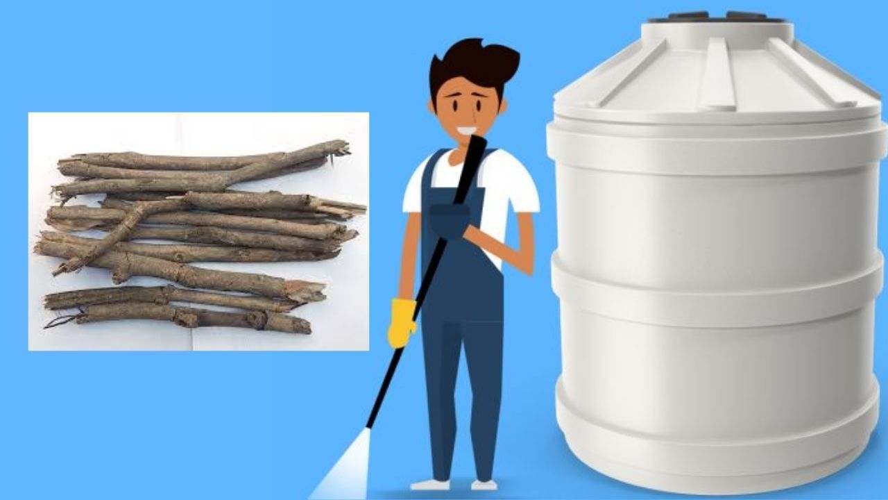 જાંબુનું લાકડું ટાંકીની સફાઈમાં પણ ખૂબ જ મદદરૂપ છે અને તેને એક દિવસ માટે છોડી દો તેનાથી ટાંકીનું પાણી સાફ થાય છે અને તેમાં ફસાયેલી શેવાળ અને ધૂળ પણ દૂર થાય છે.