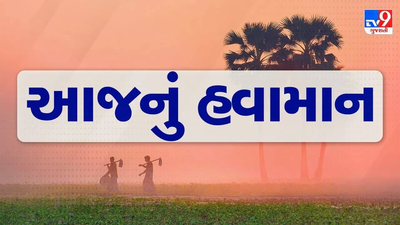 આજનું હવામાન : જાણો તમારા જિલ્લામાં ઠંડીમાં વધારો થશે કે ઘટાડો, જુઓ Video